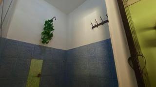 Valentina Apartment - Moyogalpa - 7