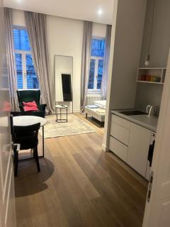 Apartment Baron - Zagabria - 4