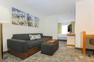 SpringHill Suites by Marriott Houston Brookhollow - Houston - 3