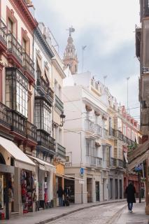 Lujoso Apartamento en Casco Antiguo de Sevilla - Seville - 3