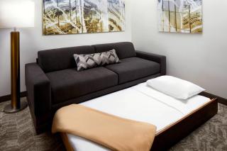 SpringHill Suites Houston NASA/Webster - Webster - 3