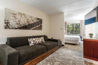 SpringHill Suites by Marriott Austin The Domain Area - Austin - 2