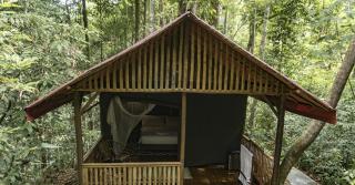 Mayas Hut - 6