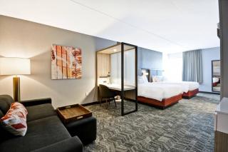 SpringHill Suites by Marriott Cincinnati Blue Ash - Blue Ash - 3