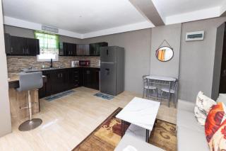 Roseau Canefield Apartment with Full Kitchen Air Conditioning and Wi-Fi Close to town - 9