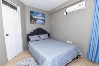 Roseau Canefield Apartment with Full Kitchen Air Conditioning and Wi-Fi Close to town - 1