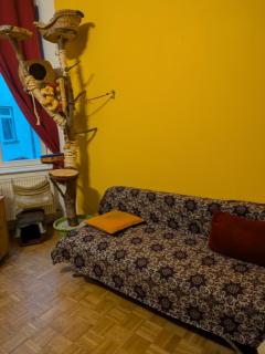 Unterkunft am Park - 5