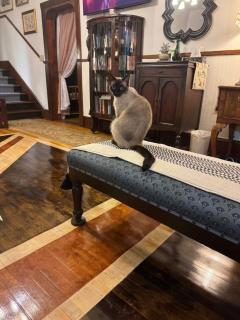 Royal Hotel Sydney - 2