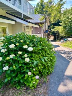 Whole house rental 天然温泉付きコテージRAI駐車場付き黒川温泉街まで車で5分 - Minamioguni - 7