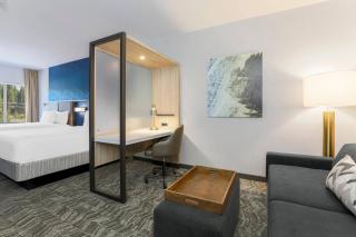 SpringHill Suites by Marriott Truckee Lake Tahoe - Truckee - 5