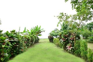 Chachamar - 2