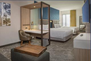 SpringHill Suites by Marriott Gainesville Haymarket - 2