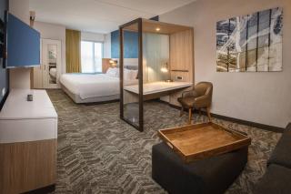 SpringHill Suites by Marriott Gainesville Haymarket - 1