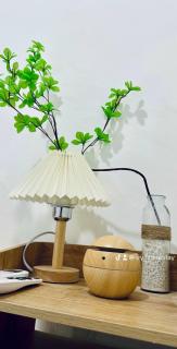 IVY HOMESTAY - District 1 HCM - Ho Chi Minh City - 4
