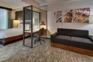 SpringHill Suites by Marriott Birmingham Downtown at UAB - Birmingham - 2