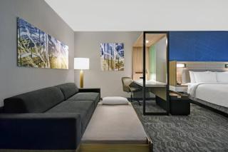 SpringHill Suites by Marriott St. Paul Arden Hills - 2