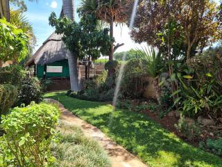 The Leafy Haven- A feel of home! - 1