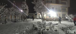 The CLOVER INN - Srinagar - 1