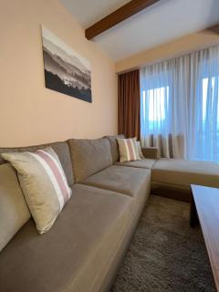 Apartman B328-Aparthotel Vučko Jahorina - Jahorina - 3
