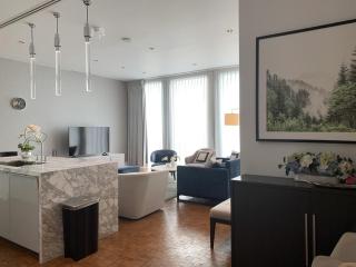 Ritz Carlton Residences - 8