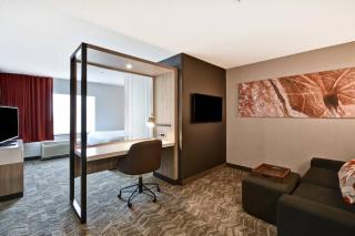 SpringHill Suites by Marriott Indianapolis Airport/Plainfield - 4