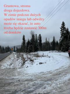 Niedźwiedź nad Chochołowską - Witów - 3
