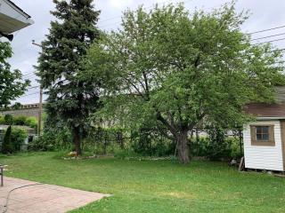 Cozy and Chique private home for rent - Montreal - 3