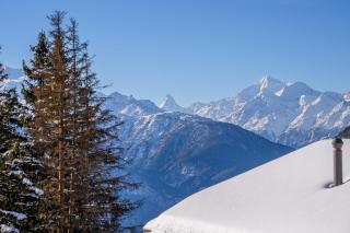 Wilhelm Tell Duplex - 3