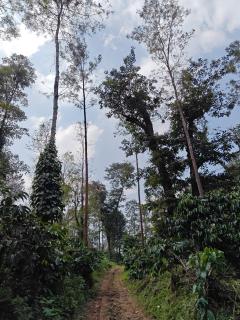B Est homestay - Sangameswarpet - 6