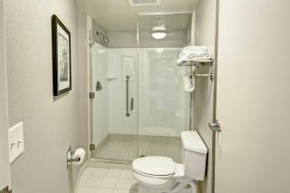 SpringHill Suites by Marriott New Bern - New Bern - 1