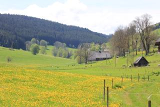 Luxuriöse Schwarzwald Loft Heustock mit Sauna und Whirlpool am Griesbachhof - Titisee-Neustadt - 9