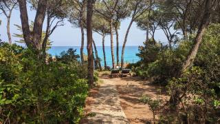 Ferienzimmer Ginepro am Meer - Cala Liberotto - 4