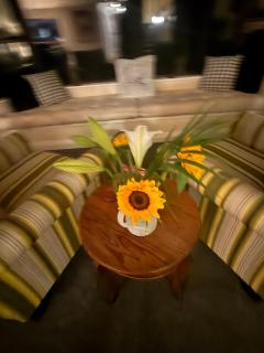 Sandwalk - big, bold, beachfront - Paraparaumu - 8