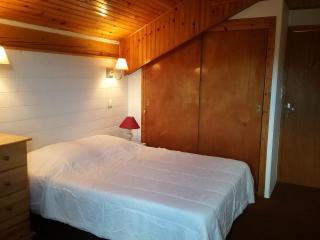 Joli chalet dans la forêt - Formiguères - 8