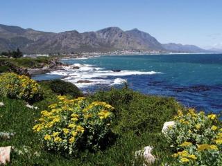 Lifehouse - Hermanus - 9