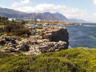 Lifehouse - Hermanus - 1
