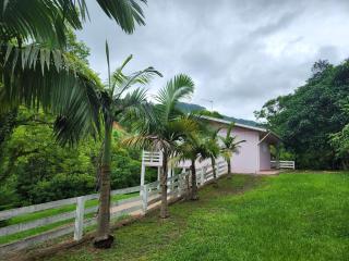 Sítio para alugar em Rolante-RS - 7