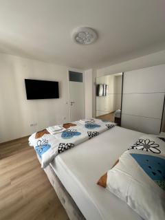 Apartman Aranđelovac - 5