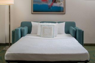 SpringHill Suites by Marriott Nashville Vanderbilt/West End - Nashville - 3