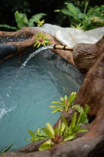 Vana Nugraha Villas - Tampaksiring - 3