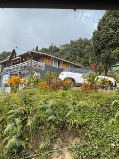 Pine Forest Retreat - 4