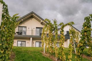 Weingut Radl - Klöch - 9