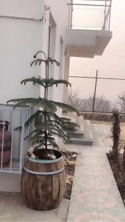 Sahil Lake View - Srinagar - 4