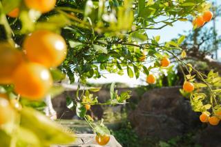 Luana - Nago - 6