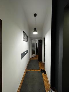 Apartment in Vračar - Belgrado - 9