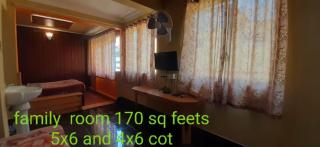 Greenview holiday inn - Munnar - 7
