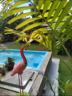 Casa Mariana - Las Terrenas - 8