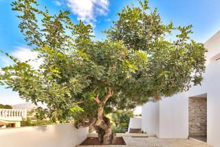 La Vista - Modern Luxury for 12 Guests - Teulada - 8
