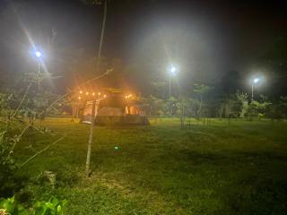 Undertree Life Villa - 2