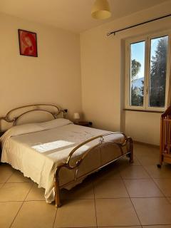 Le camelie 2 di Francesca - 6